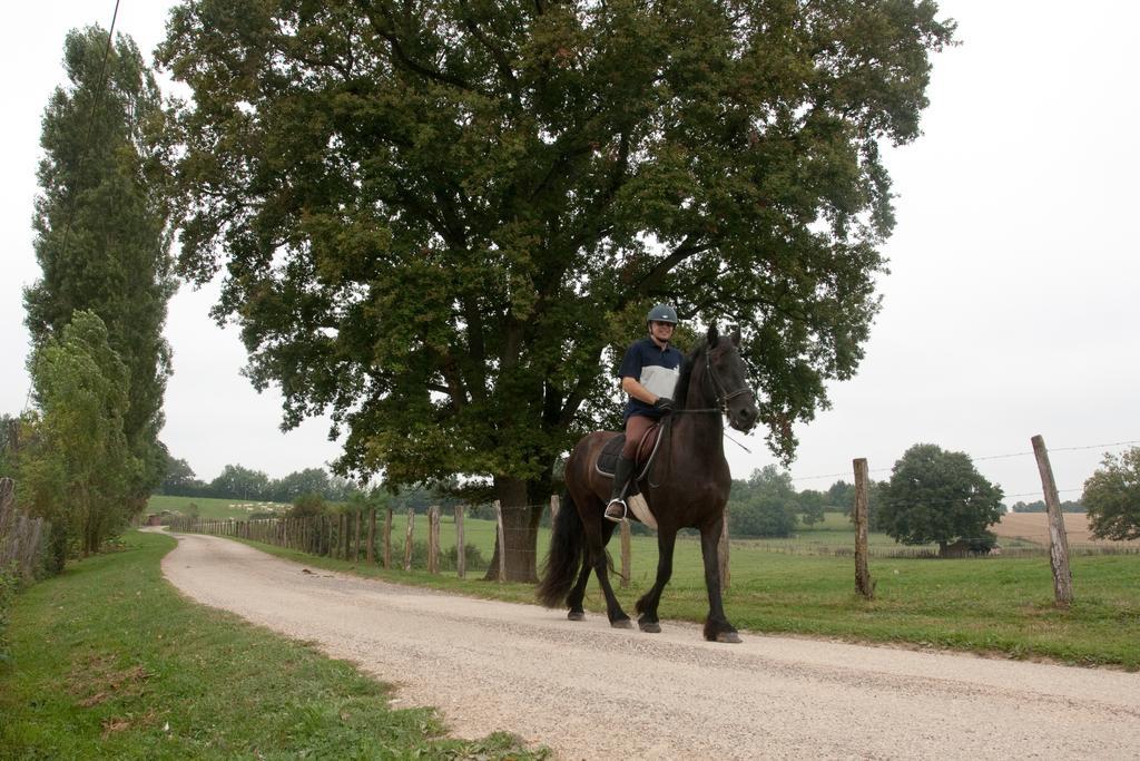 Вилла Ferme De Montalibord Vescours Экстерьер фото